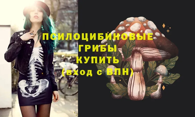 mega рабочий сайт  Тулун  Псилоцибиновые грибы MAGIC MUSHROOMS 